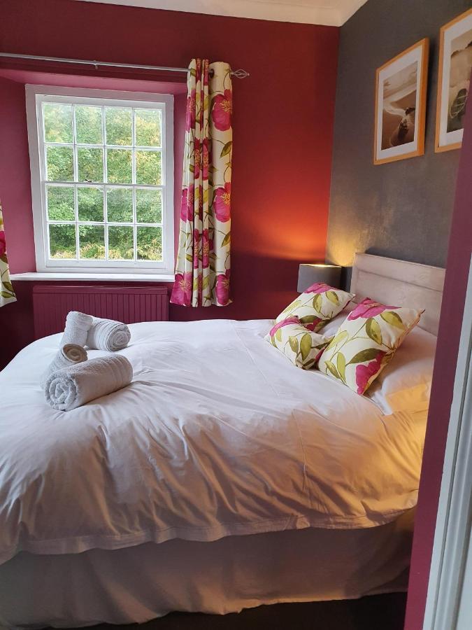 Winfrith Newburgh 말리 하우스 베드 앤 브렉퍼스트 B&B 외부 사진